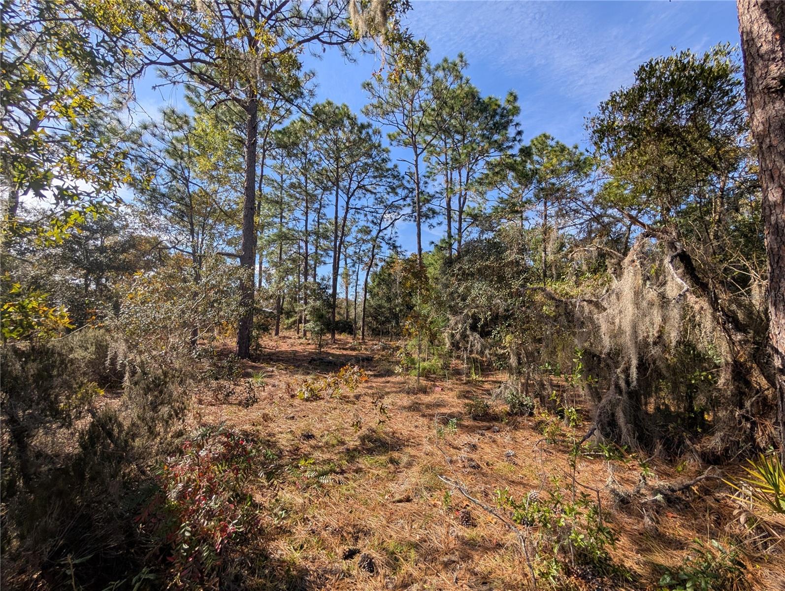 INTERLACHEN GARDENS - Land