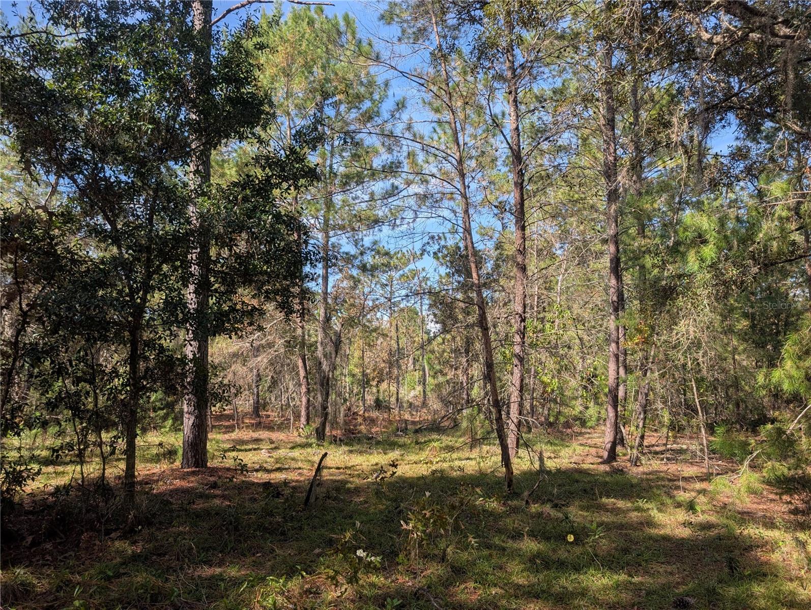 INTERLACHEN GARDENS - Land