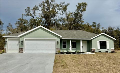 11998 N CONDOR DRIVE DUNNELLON FL 34433
