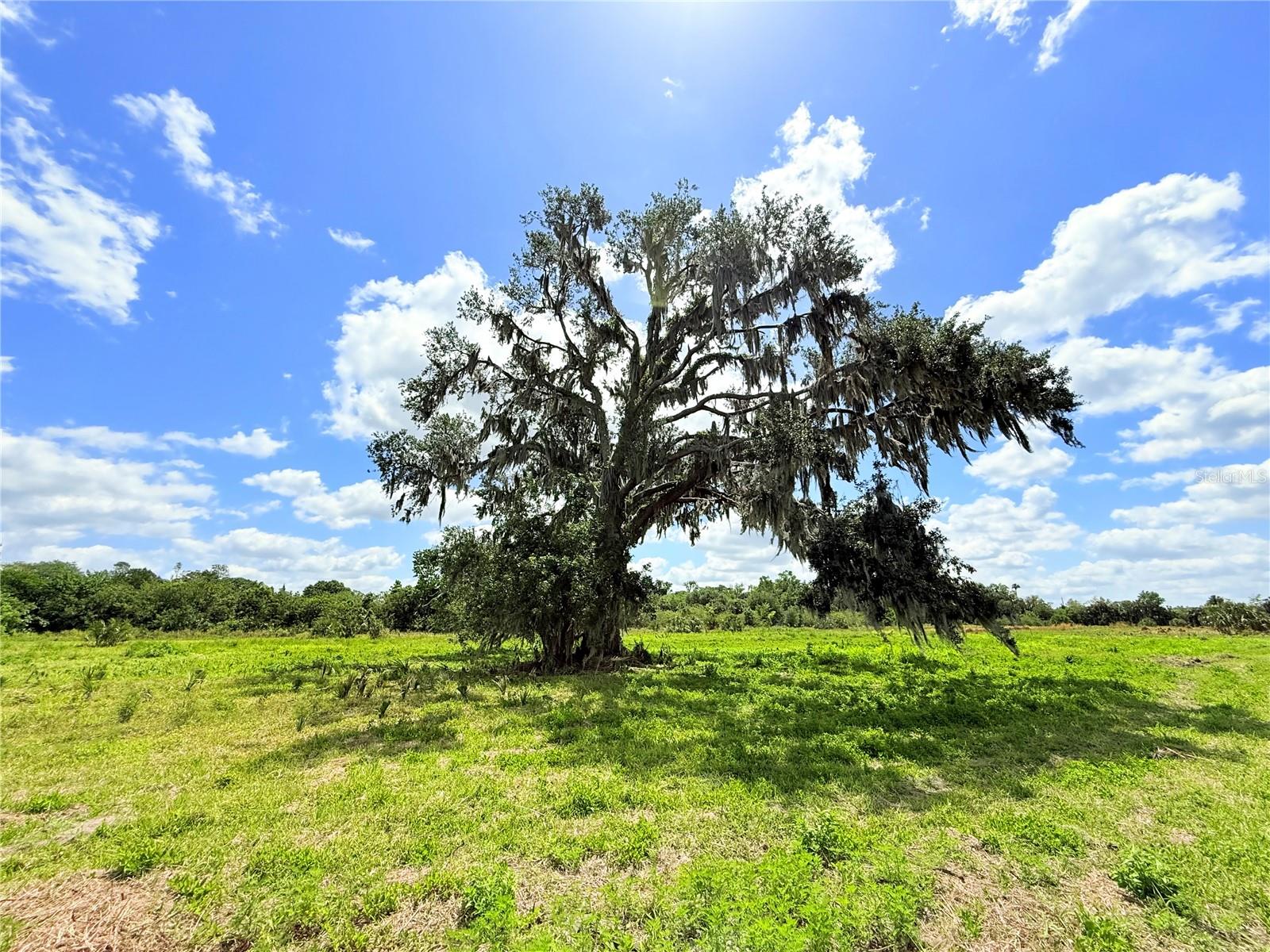 KINGS LANDING AT LAKE JESSUP - Land