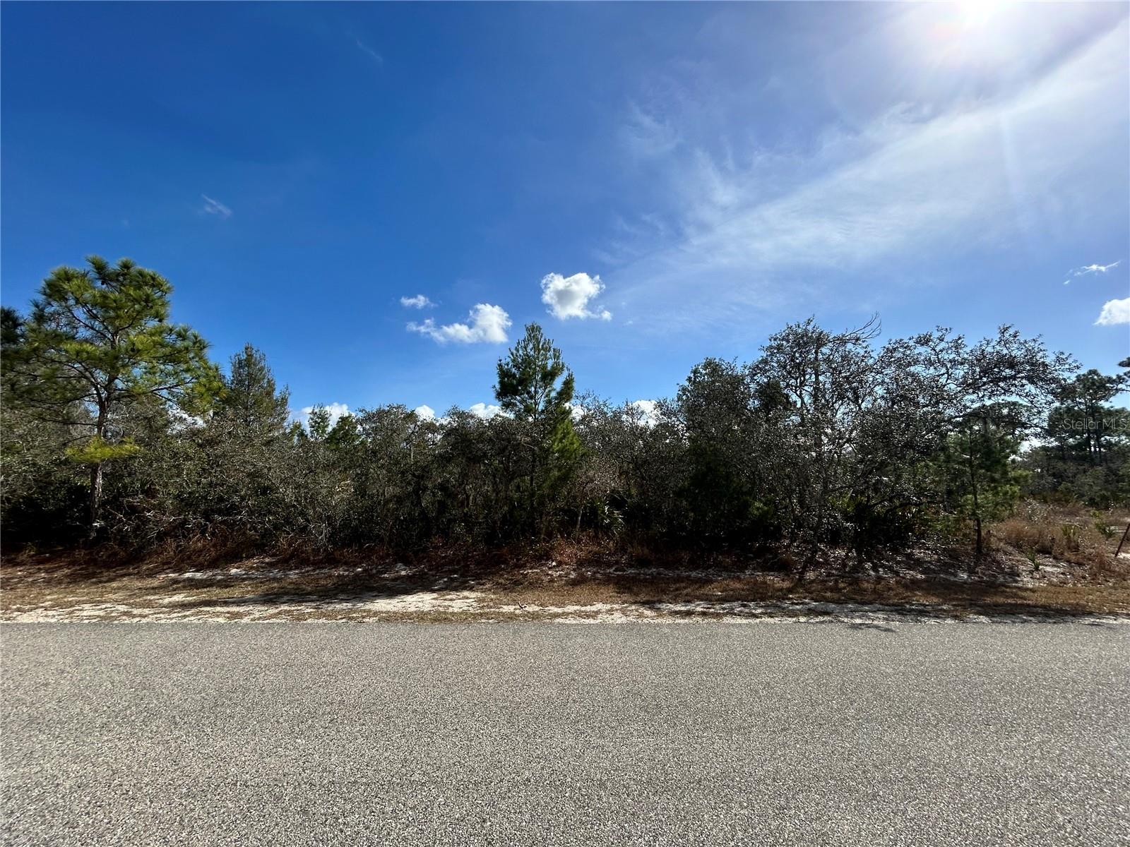 SEBRING COUNTRY EST SEC 03 - Land