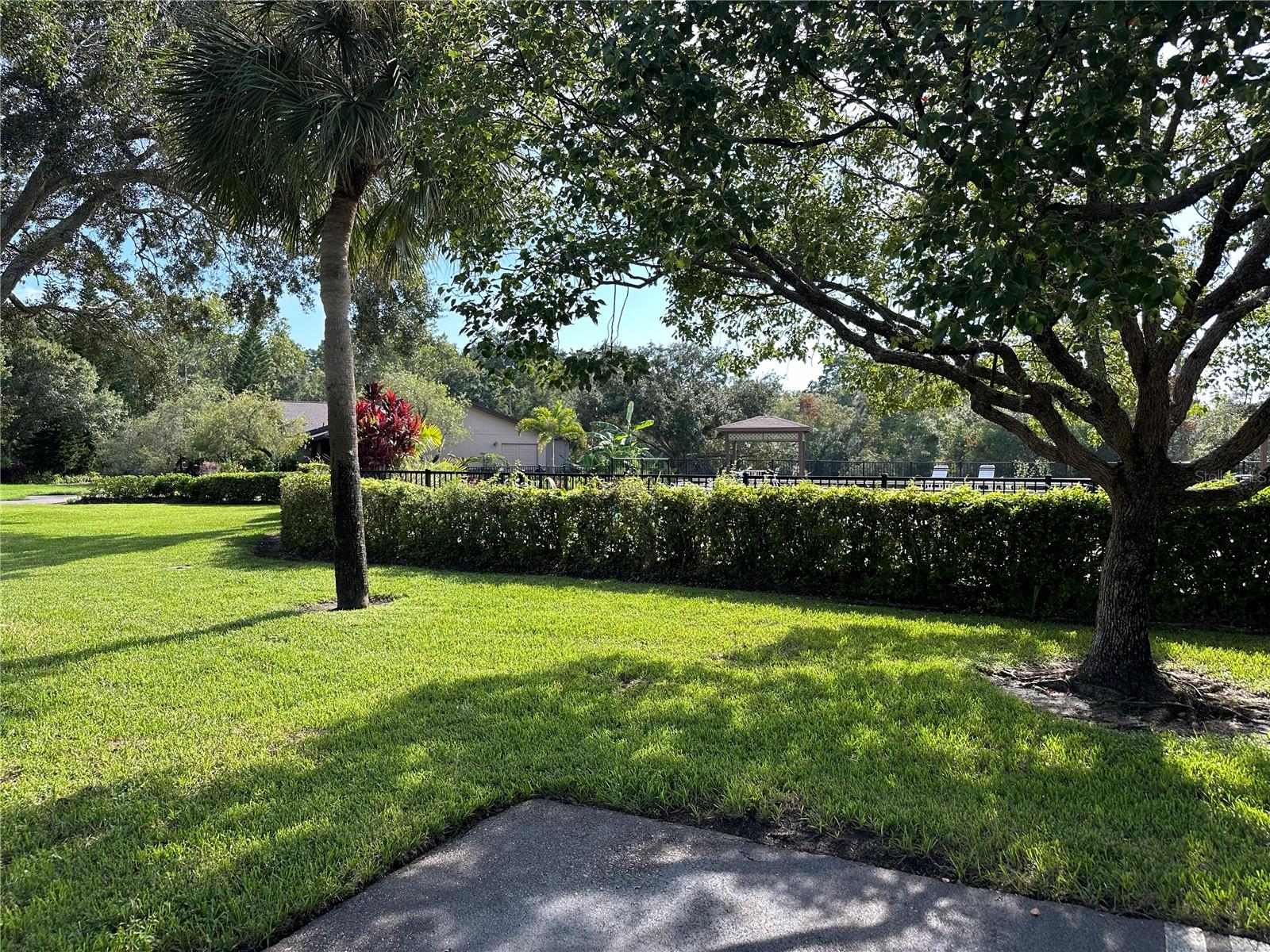 PONDS OF TARPON WOODS THE CONDO - Residential Lease