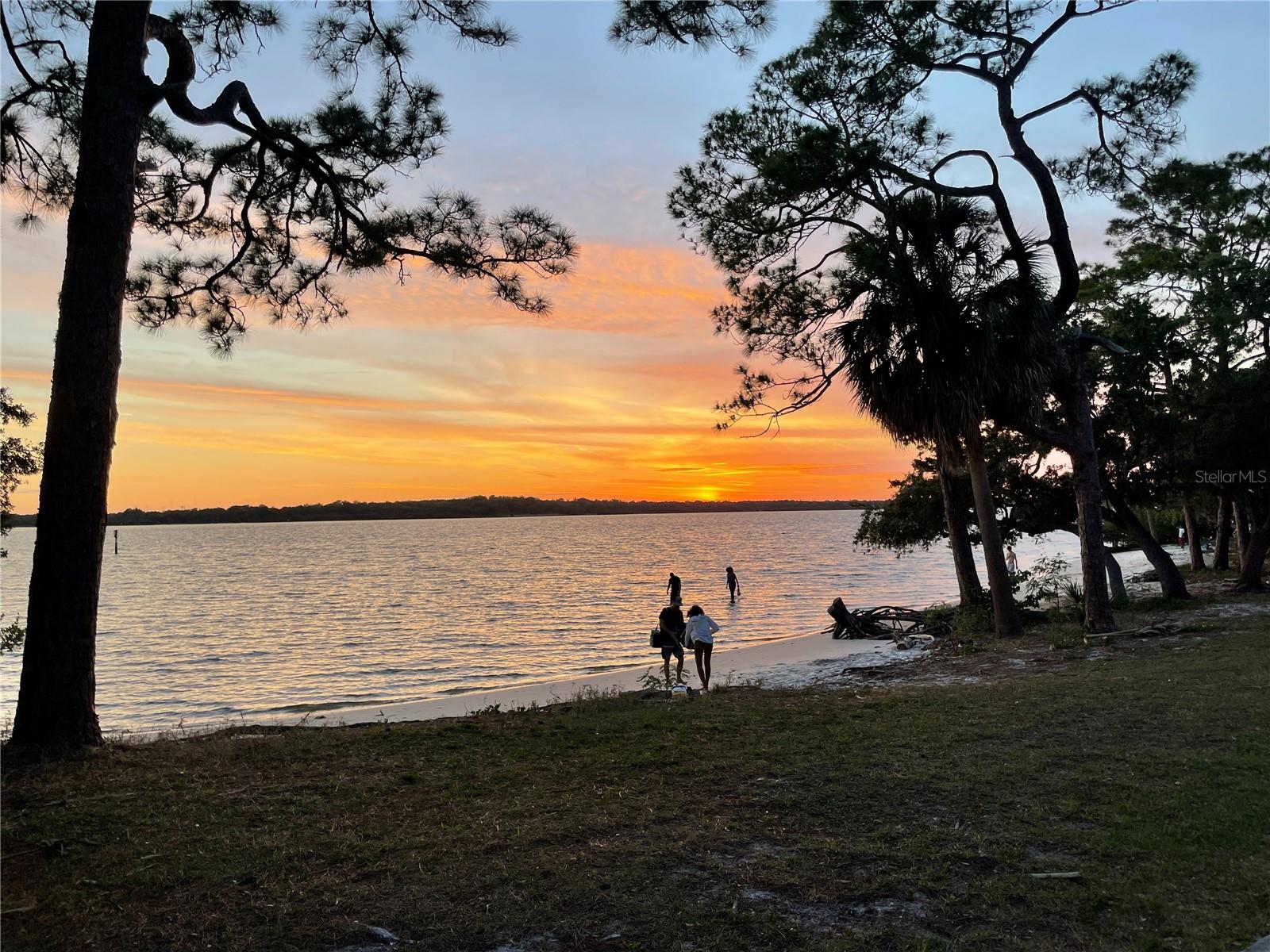 PONDS OF TARPON WOODS THE CONDO - Residential Lease