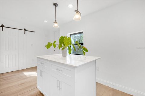 Tiny photo for 2713 Berdetta Street, Leesburg, FL 34748 (MLS # O6387281)