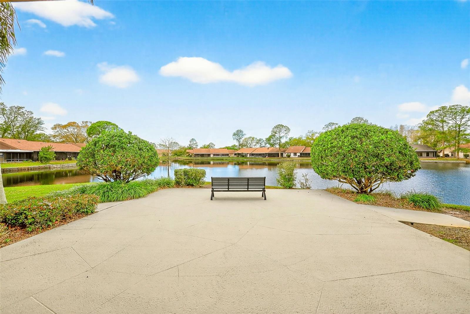 CARROLLWOOD SPRGS CLUSTER HMS - Residential