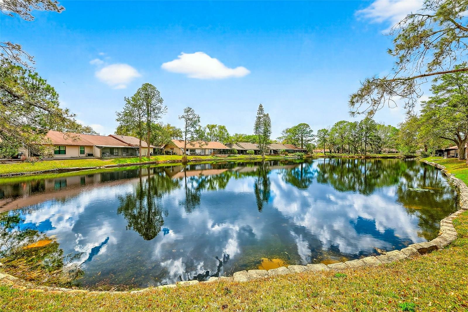 CARROLLWOOD SPRGS CLUSTER HMS - Residential