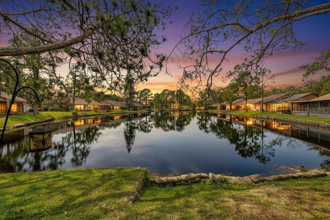 CARROLLWOOD SPRGS CLUSTER HMS - Residential