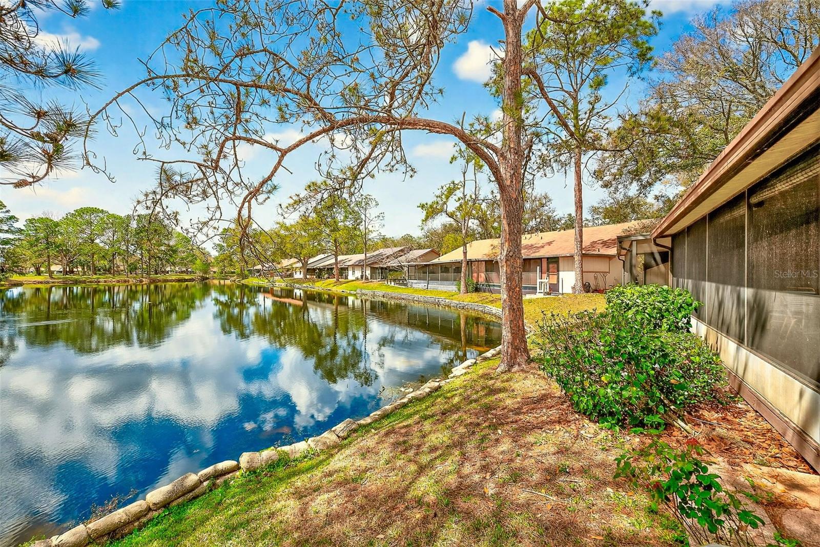 CARROLLWOOD SPRGS CLUSTER HMS - Residential