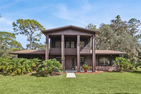 9705 JAMES CREEK ROAD CHRISTMAS FL 32709