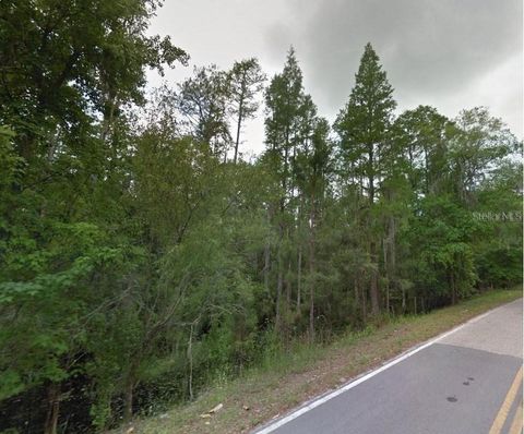 0 POYNER ROAD POLK CITY FL 33868