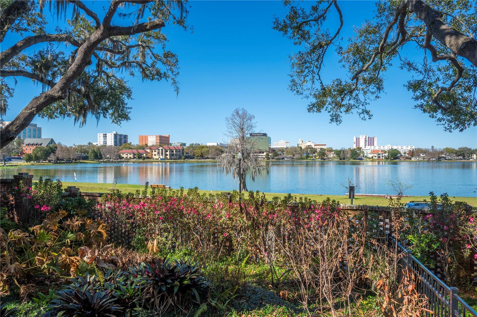 DIXIELAND REV - Residential