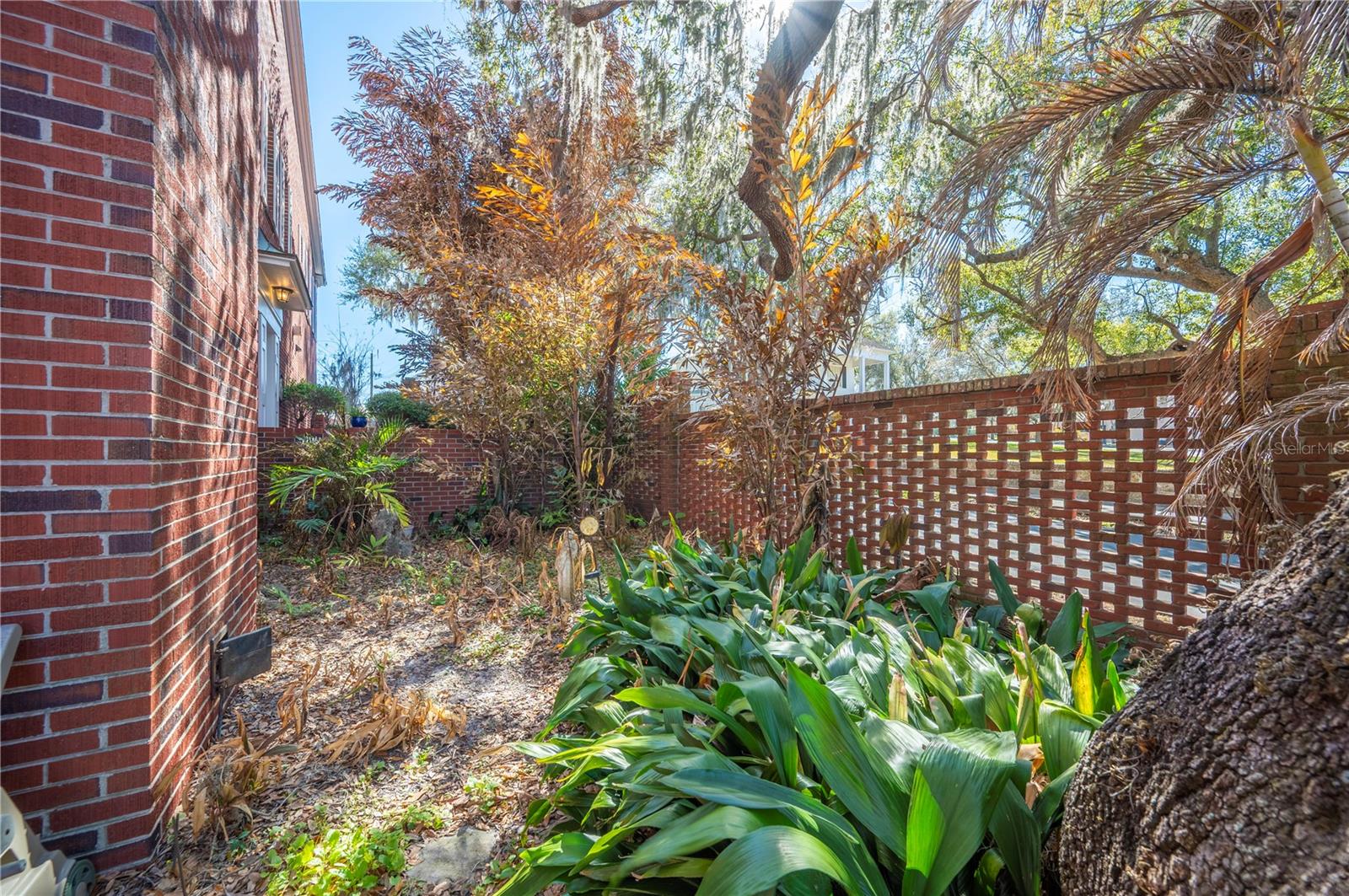 DIXIELAND REV - Residential