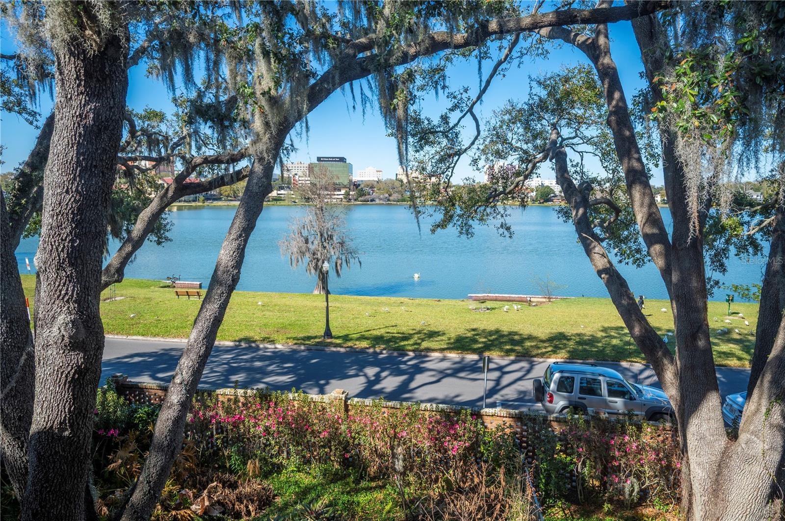 DIXIELAND REV - Residential