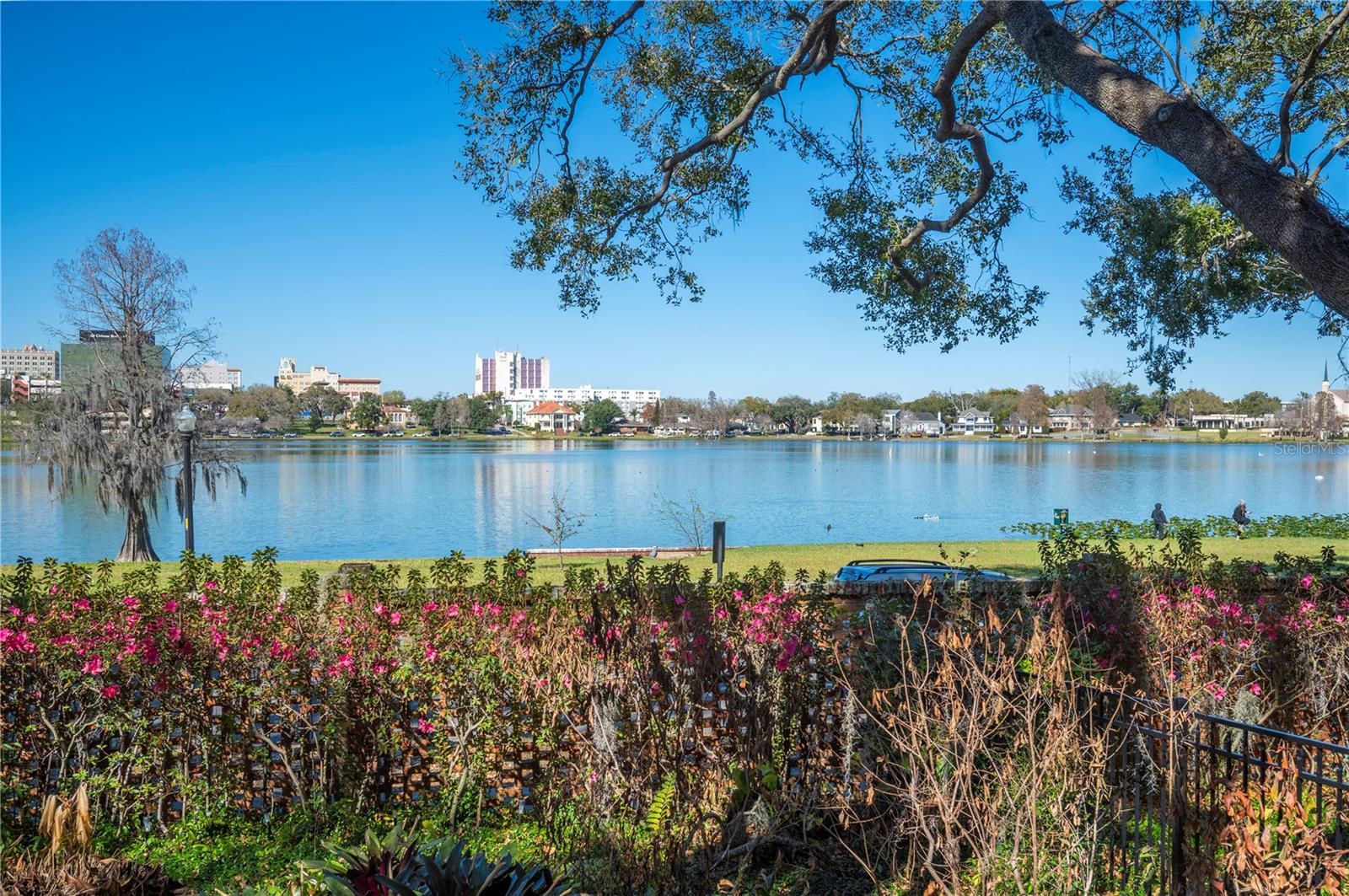 DIXIELAND REV - Residential