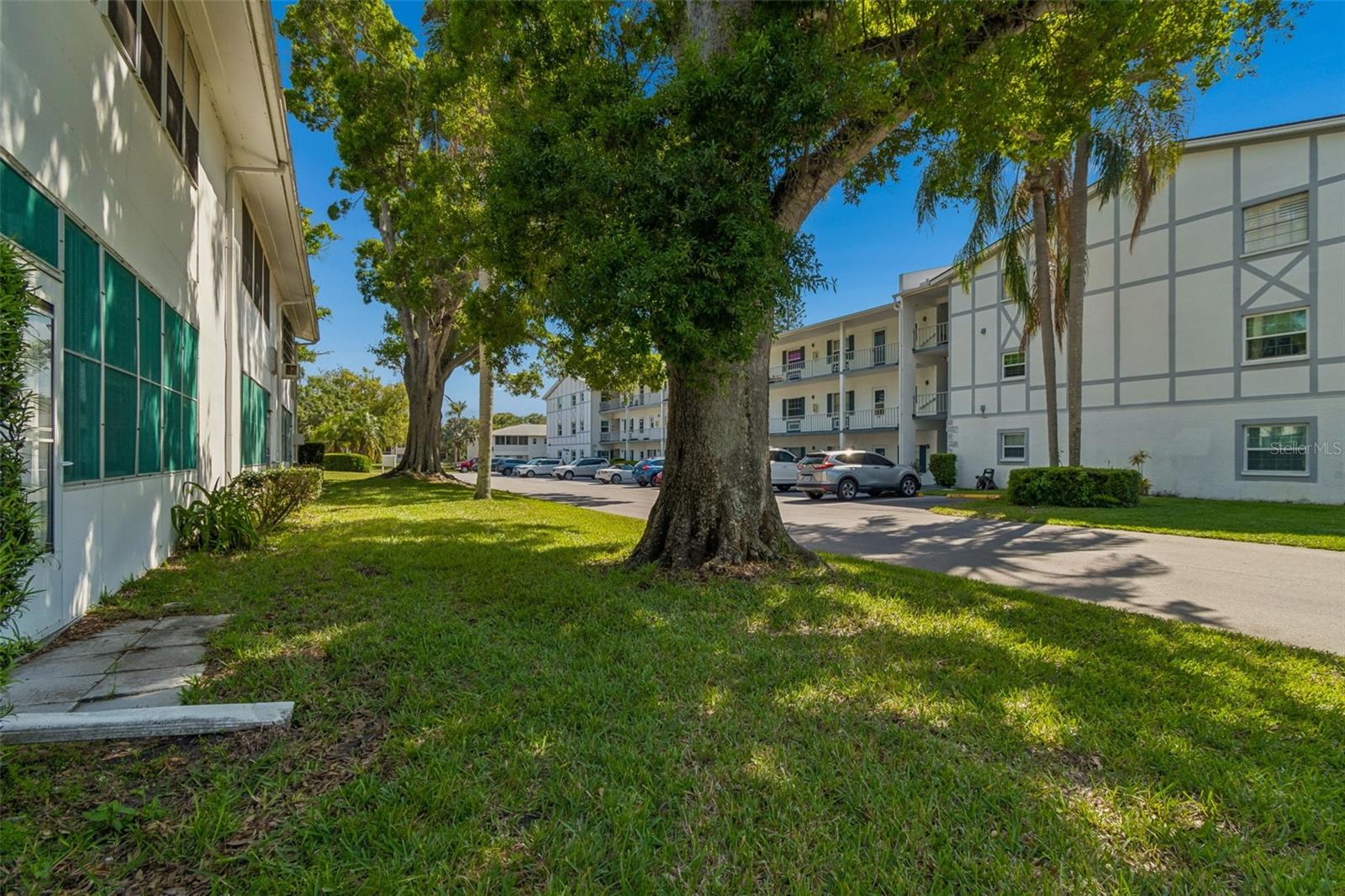 DOUGLAS ARMS - Residential