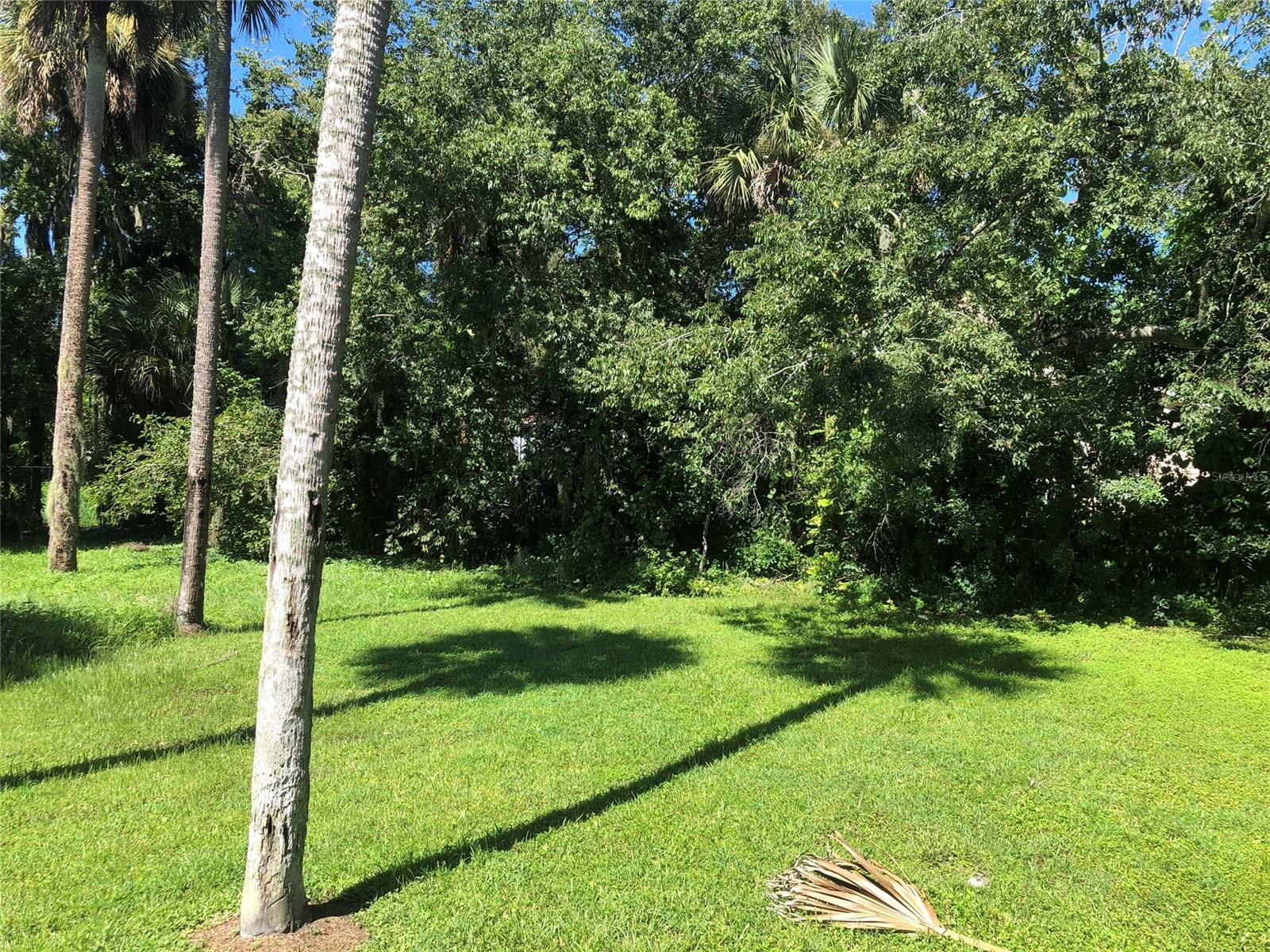 Sheldons New Smyrna - Residential Lease