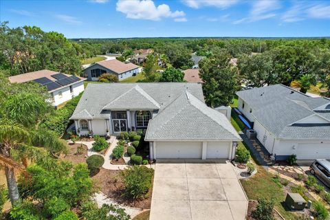 Photo of 65 N Leafland Point, Lecanto, FL 34461 (MLS # OM720235)