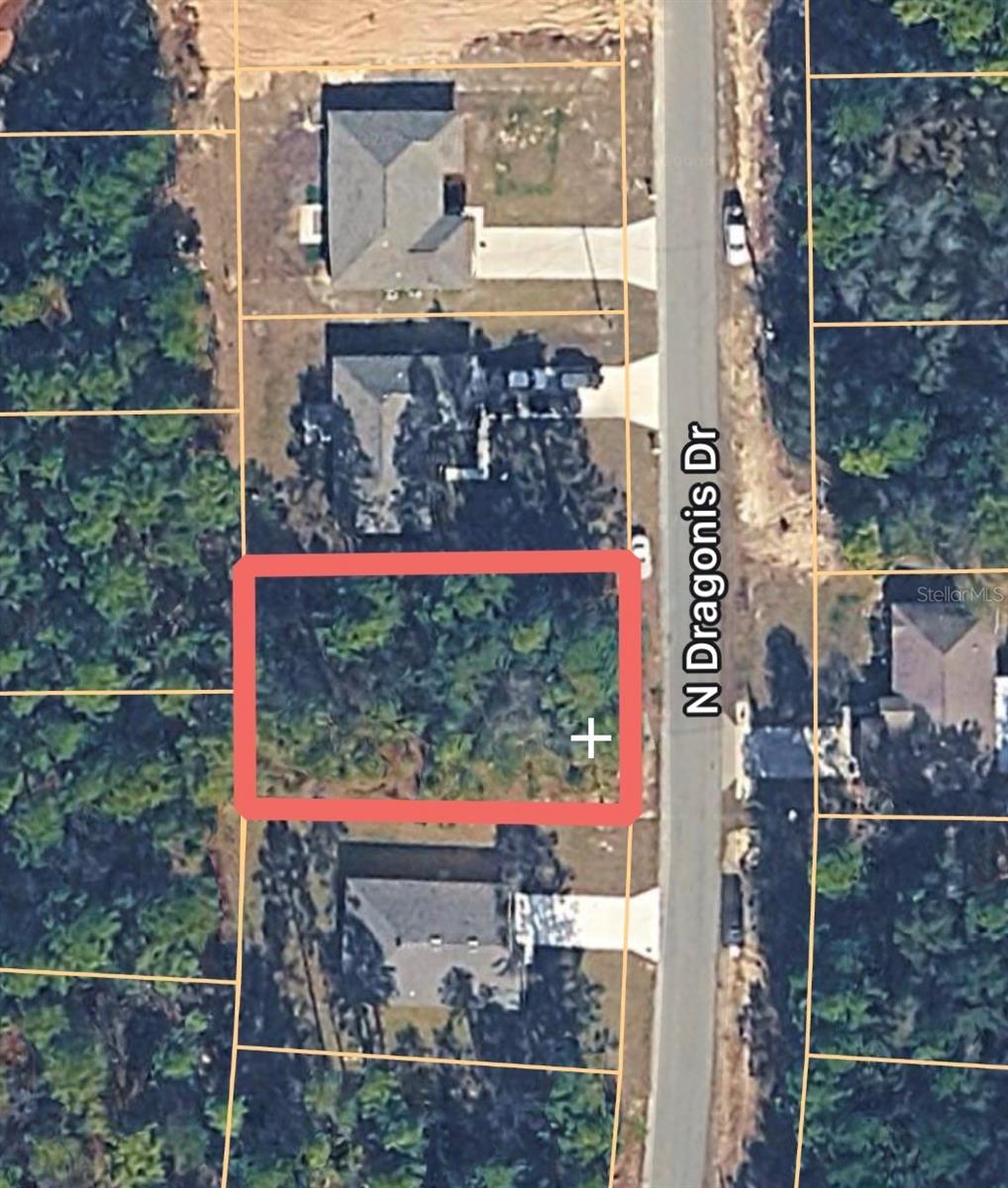 10924 N DRAGONIS DRIVE