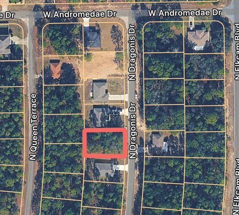 10924 N DRAGONIS DRIVE CITRUS SPRINGS FL 34433