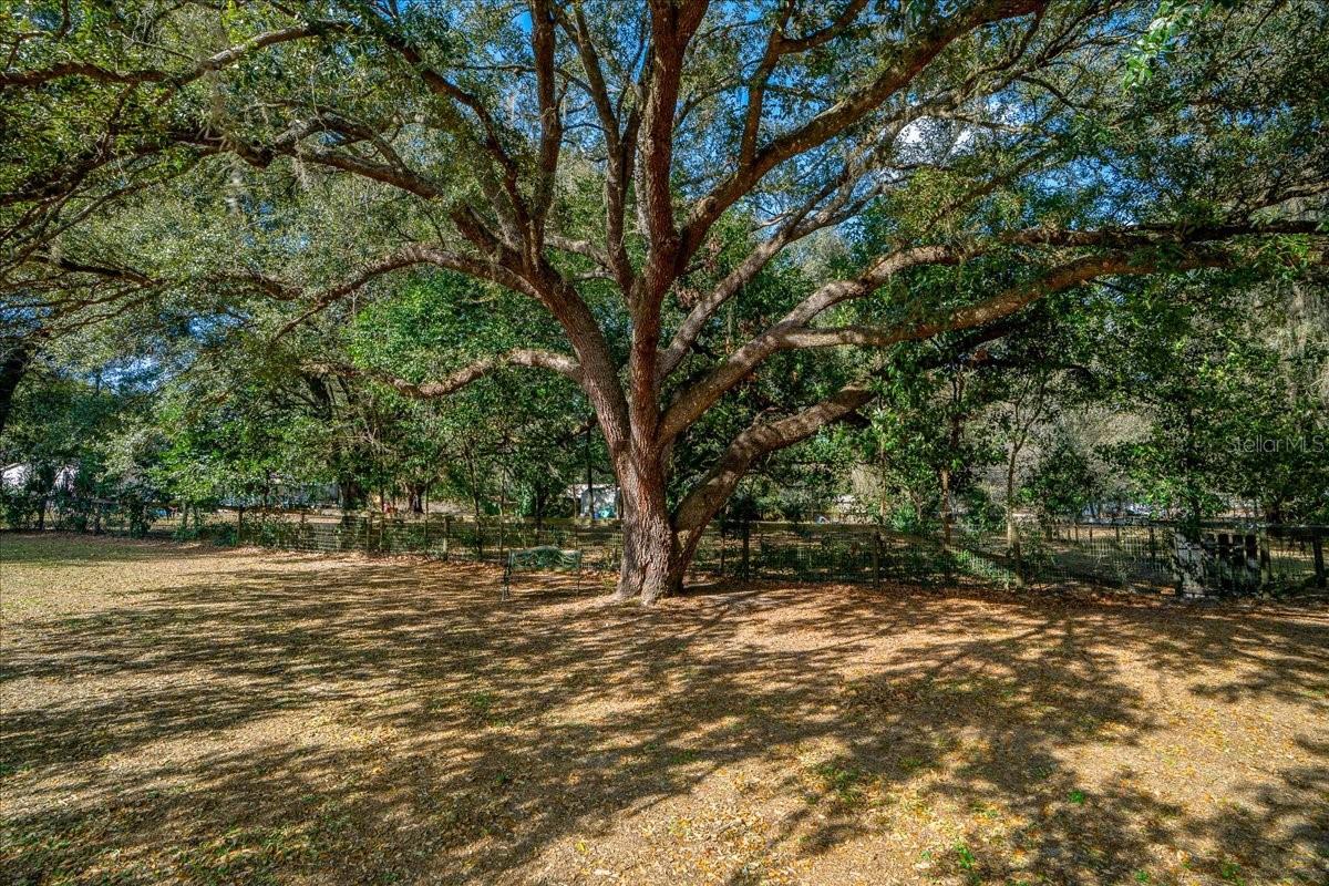 MEADOW BROOK RANCHES - Residential