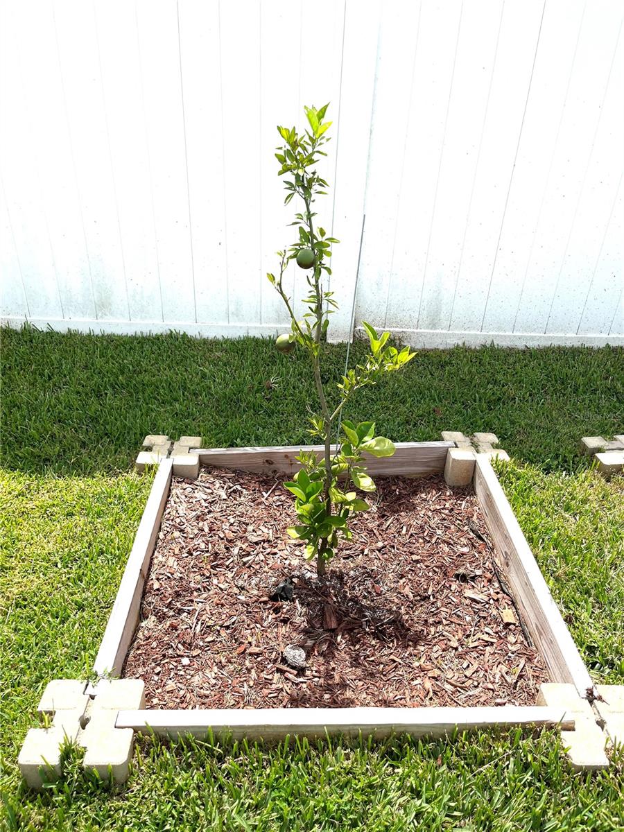 ENCLAVE/LK MYRTLE - Residential