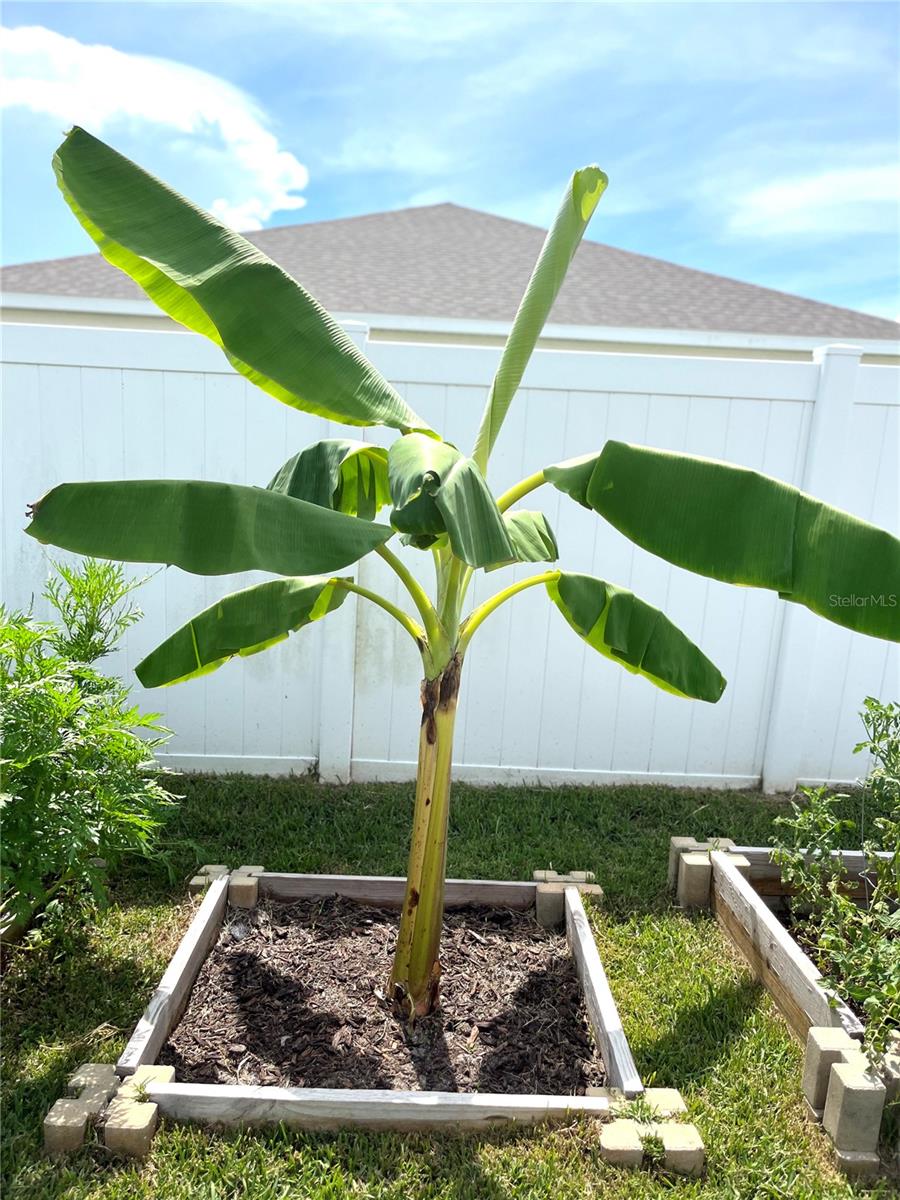 ENCLAVE/LK MYRTLE - Residential