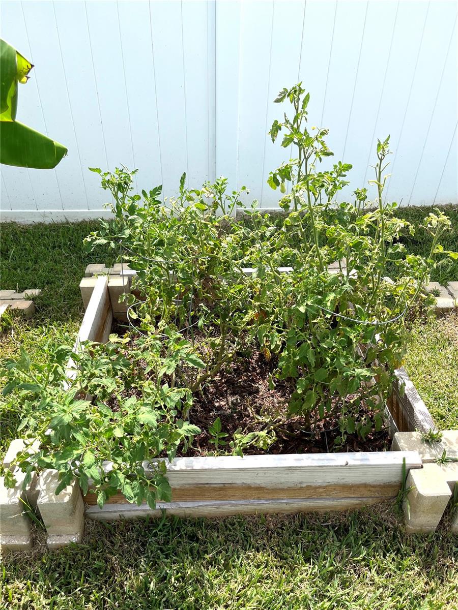 ENCLAVE/LK MYRTLE - Residential