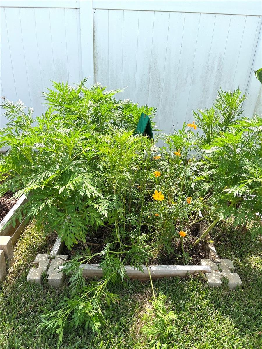 ENCLAVE/LK MYRTLE - Residential