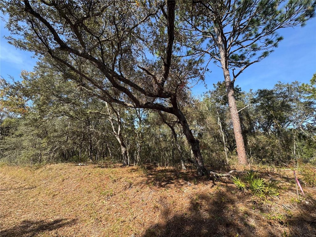 Photo of SE 115 Place Road, Ocklawaha, FL 32179 (MLS # G5104731)