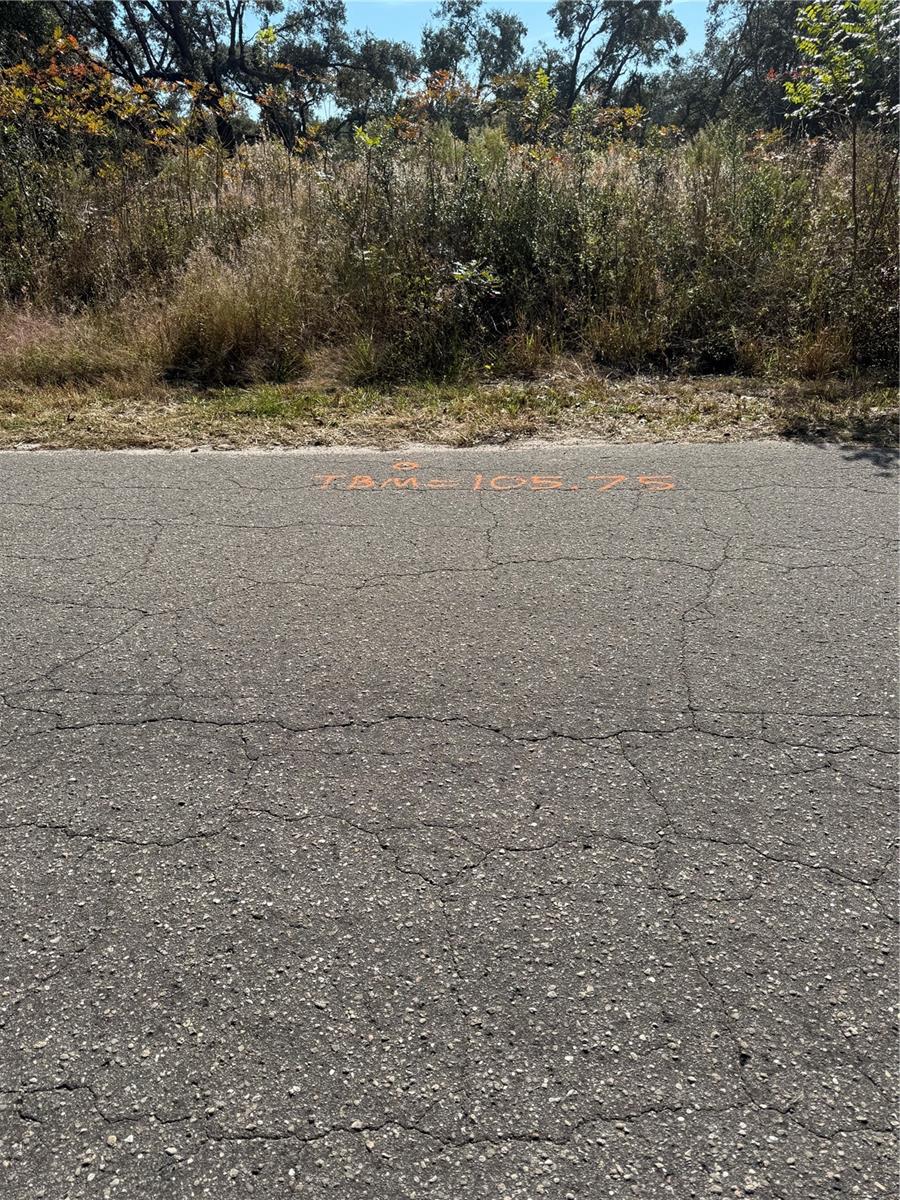 SILVER SPGS SHORES UN 38 - Land