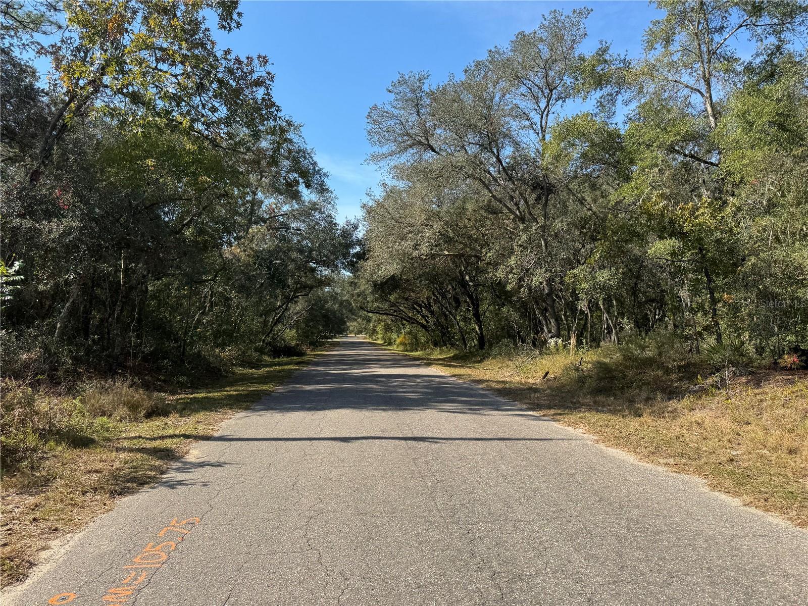 SILVER SPGS SHORES UN 38 - Land