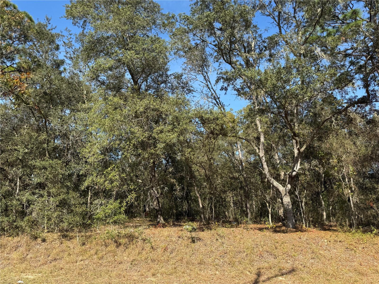 SILVER SPGS SHORES UN 38 - Land