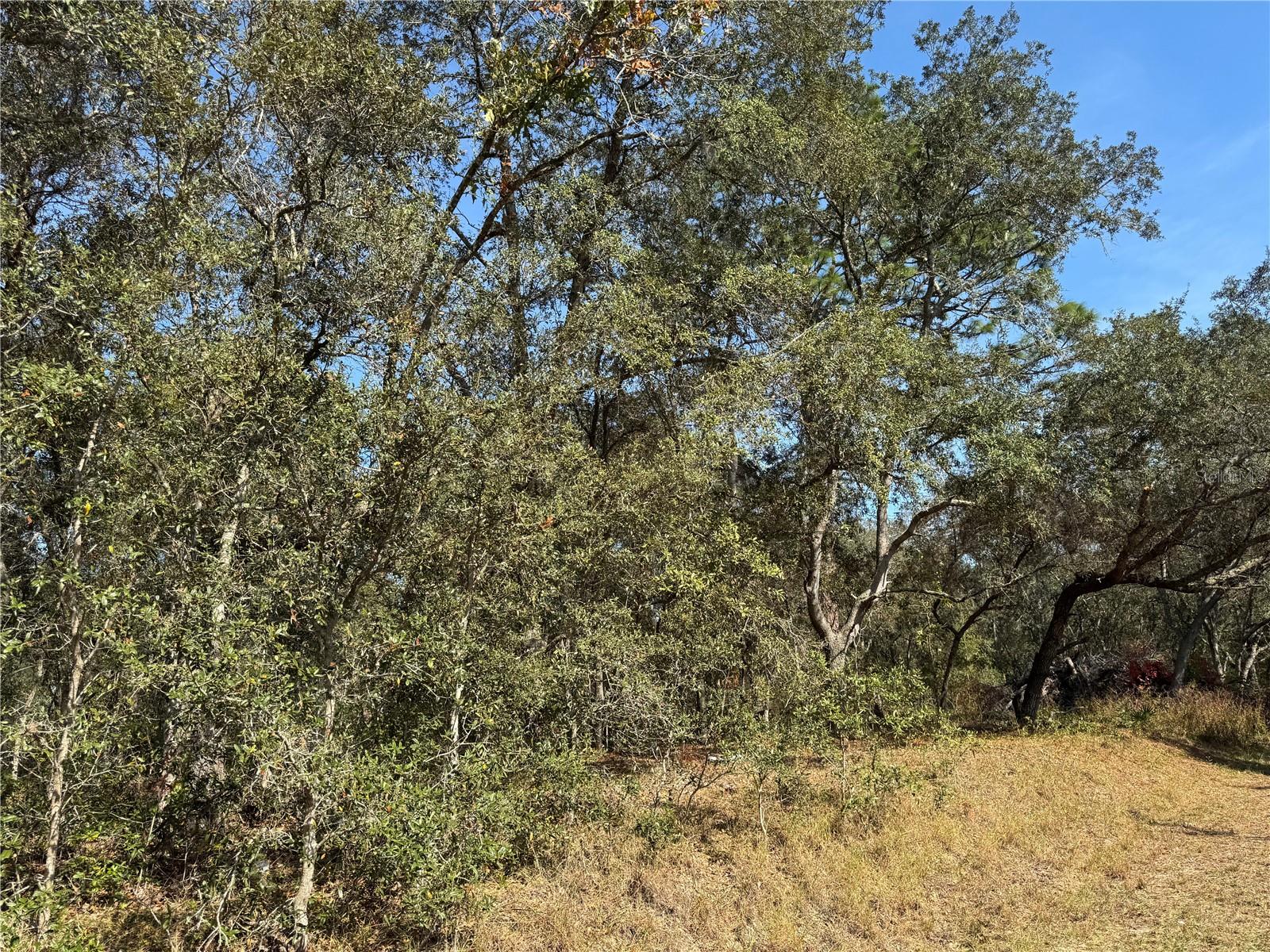 SILVER SPGS SHORES UN 38 - Land