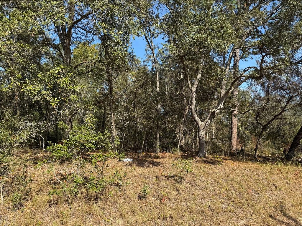 Photo of SE 115 Place Road, Ocklawaha, FL 32179 (MLS # G5104731)