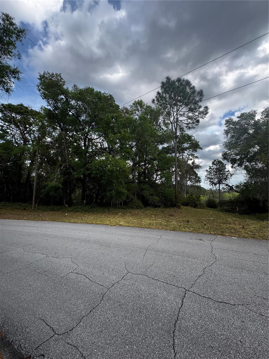 Incredible opportunity to build your dream home on this spacious 16,500 sq ft lot (0.38 acres). Located in a growing area of Deltona, this property offers the space and privacy you desire, with easy access to major roads, shopping, and amenities. Don't miss the chance to invest in one of Central Florida's fastest-growing areas! Contact us today for more details.