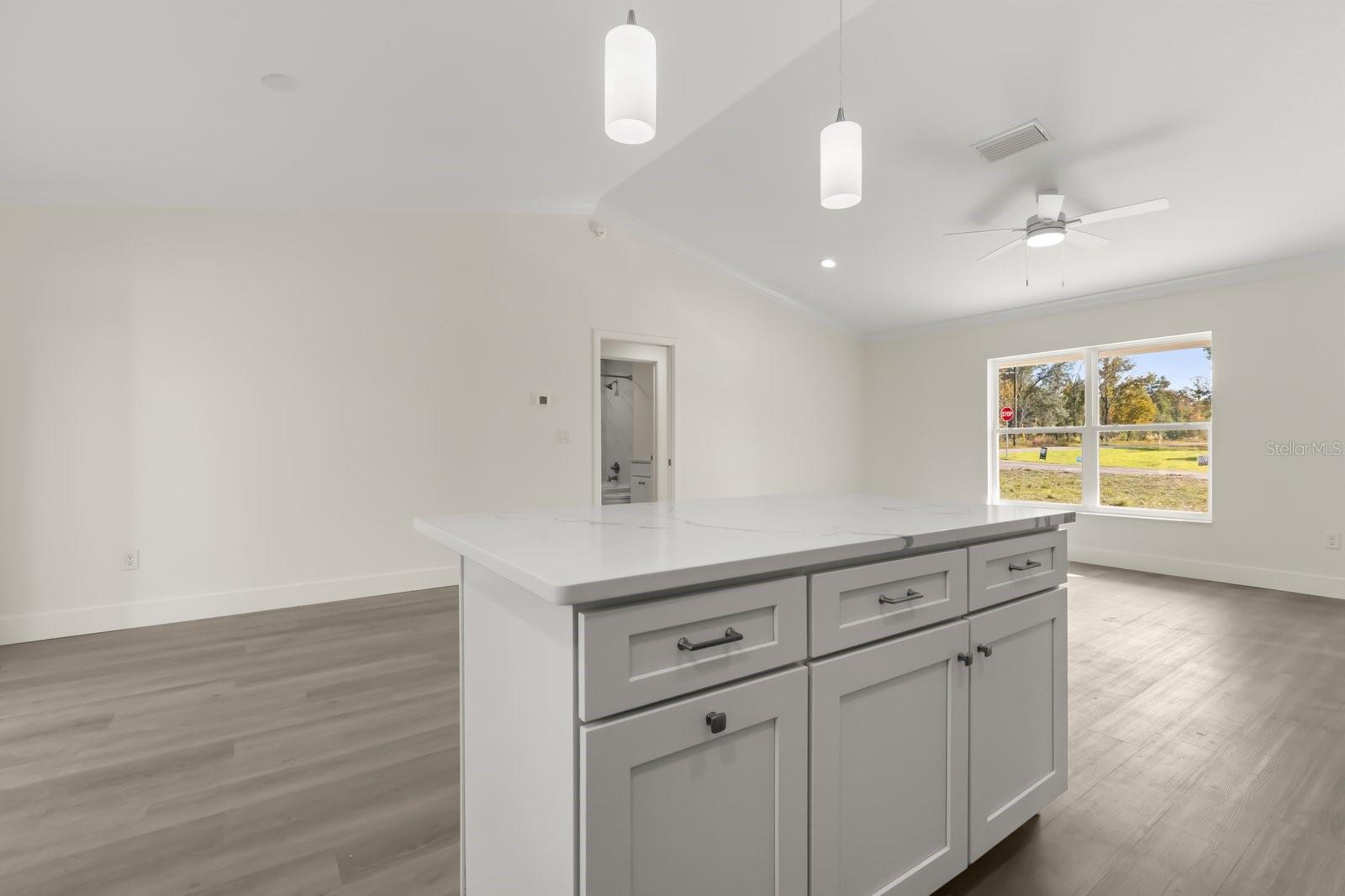 SILVER SPRINGS SHORES - Residential