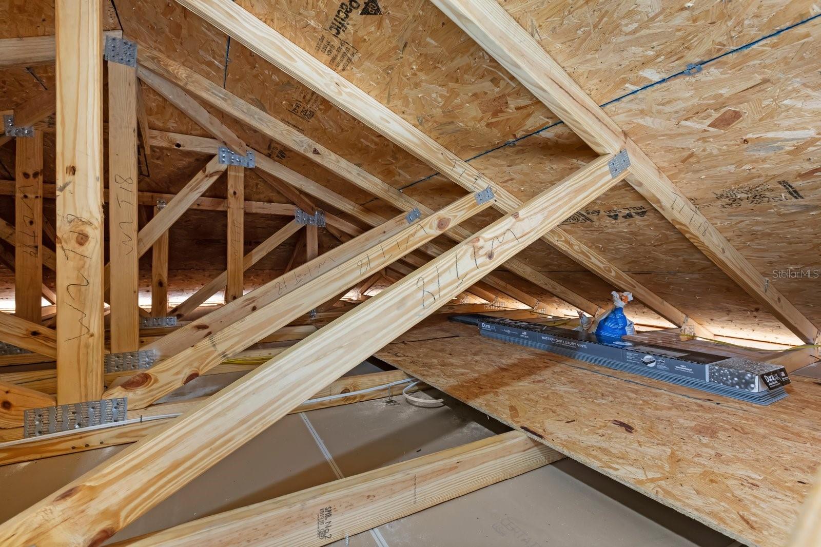 SILVER SPRINGS SHORES - Residential