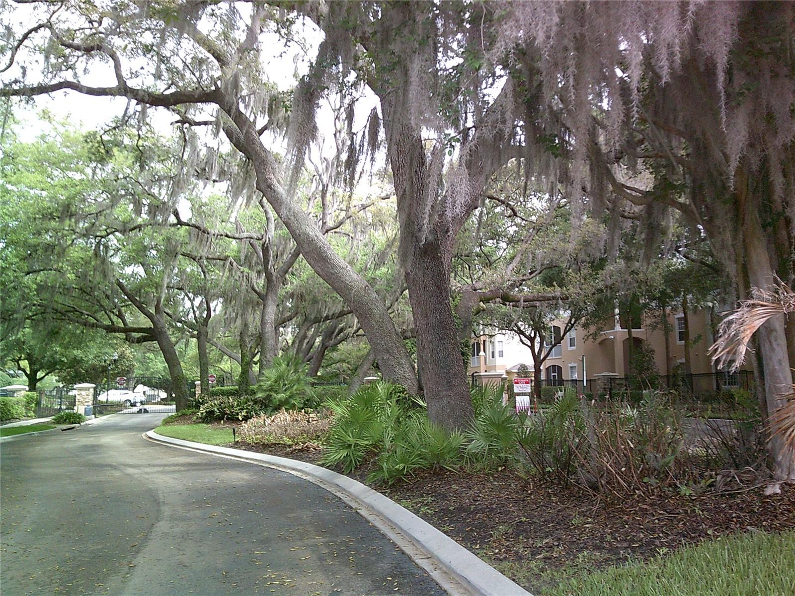 VISTAS/STONEBRIDGE PLACE PH 08 - Residential