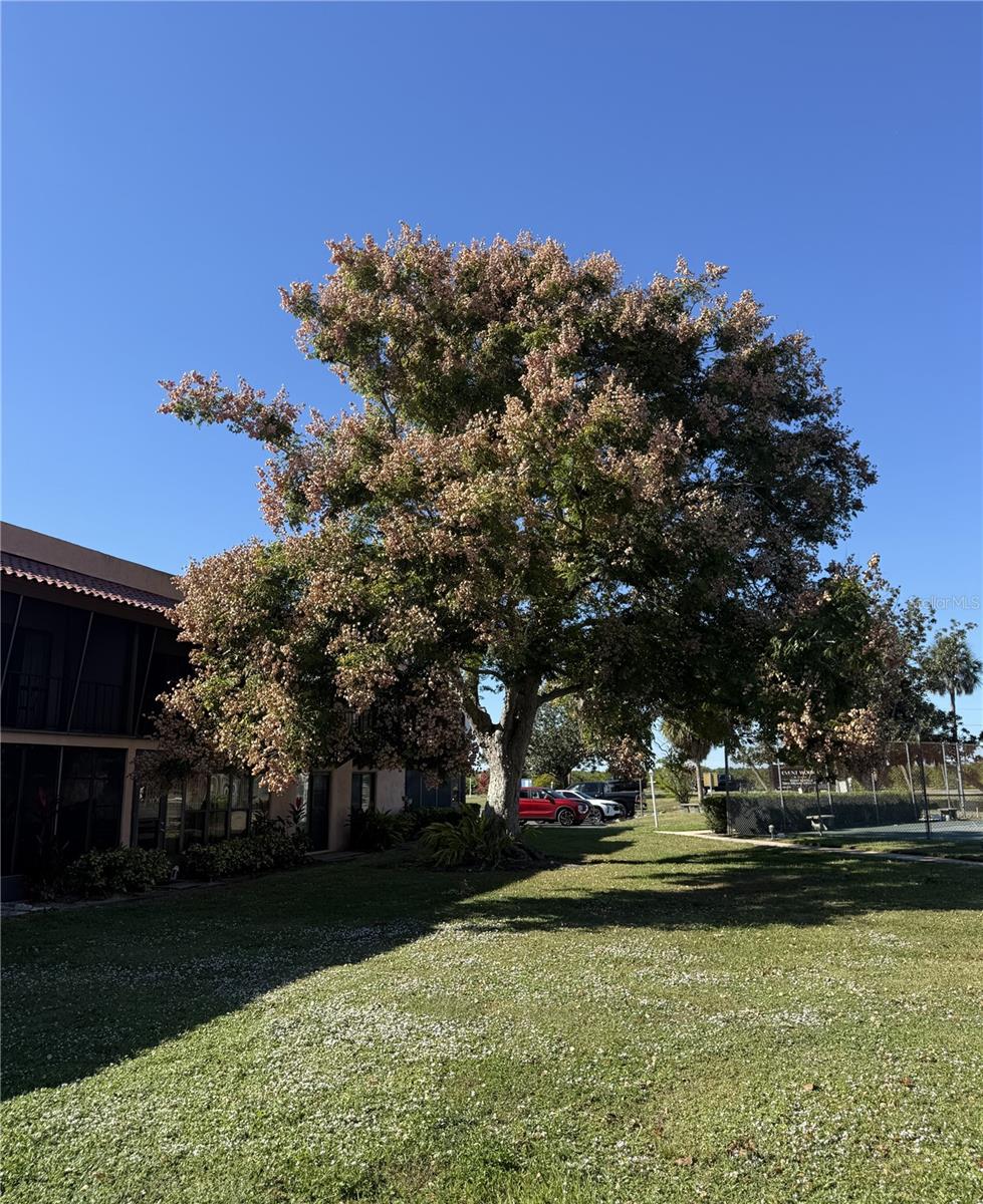 LA CASA CONDO - Residential