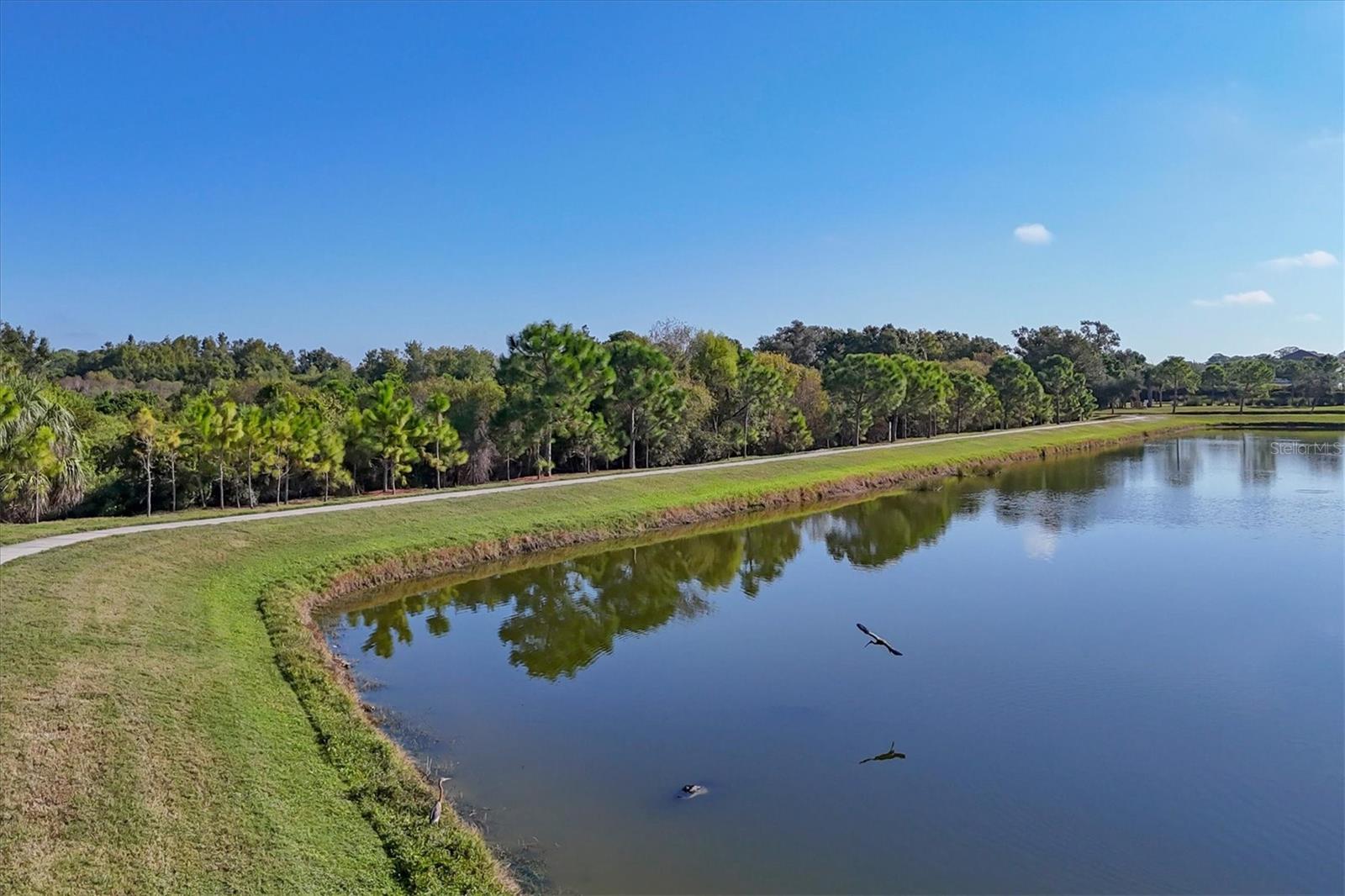 MAGNOLIA POINT - Residential