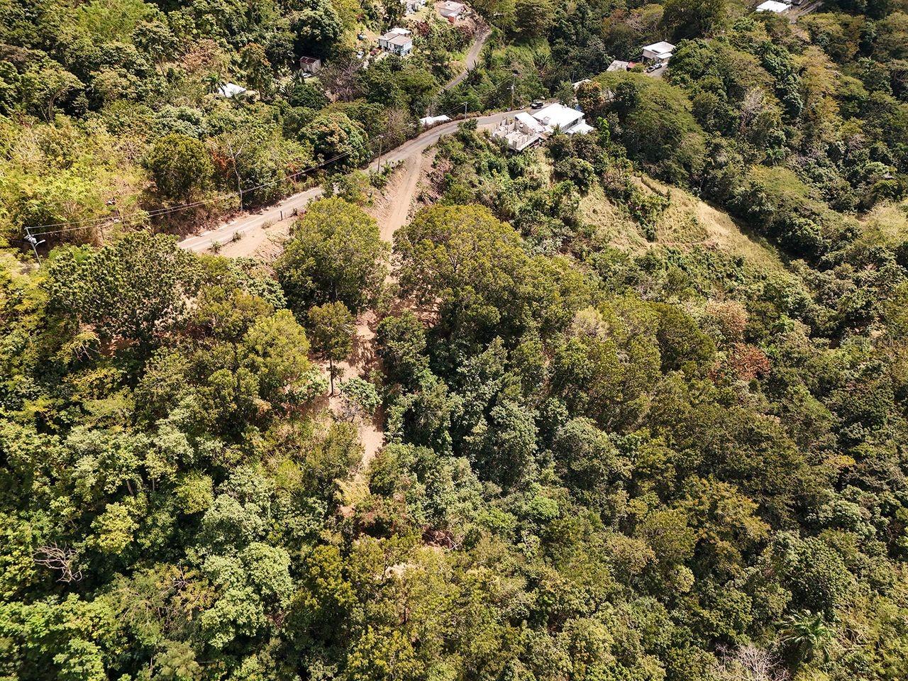 CARR.115 KM. 4.5 INTERIOR