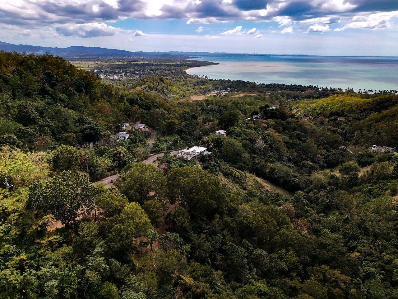 CARR.115 KM. 4.5 INTERIOR