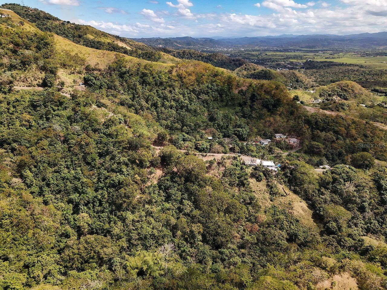 CARR.115 KM. 4.5 INTERIOR