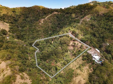 CARR.115 KM. 4.5 INTERIOR ANASCO  00610