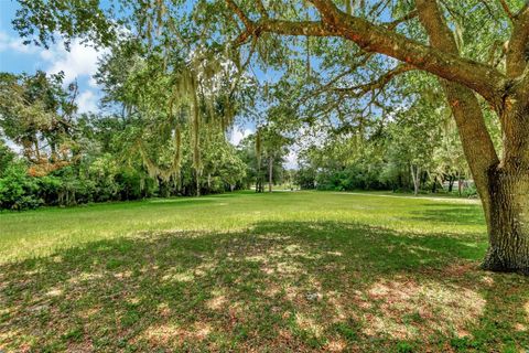 A home in DELAND