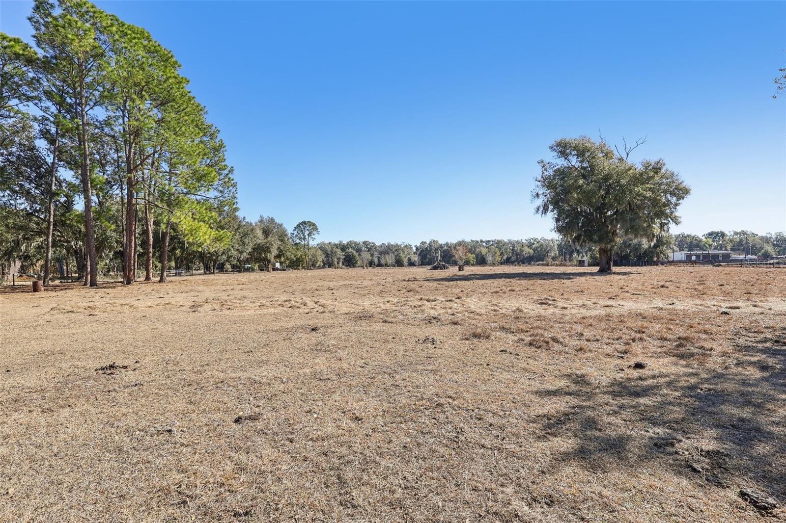 BRUSHS 03 - Residential