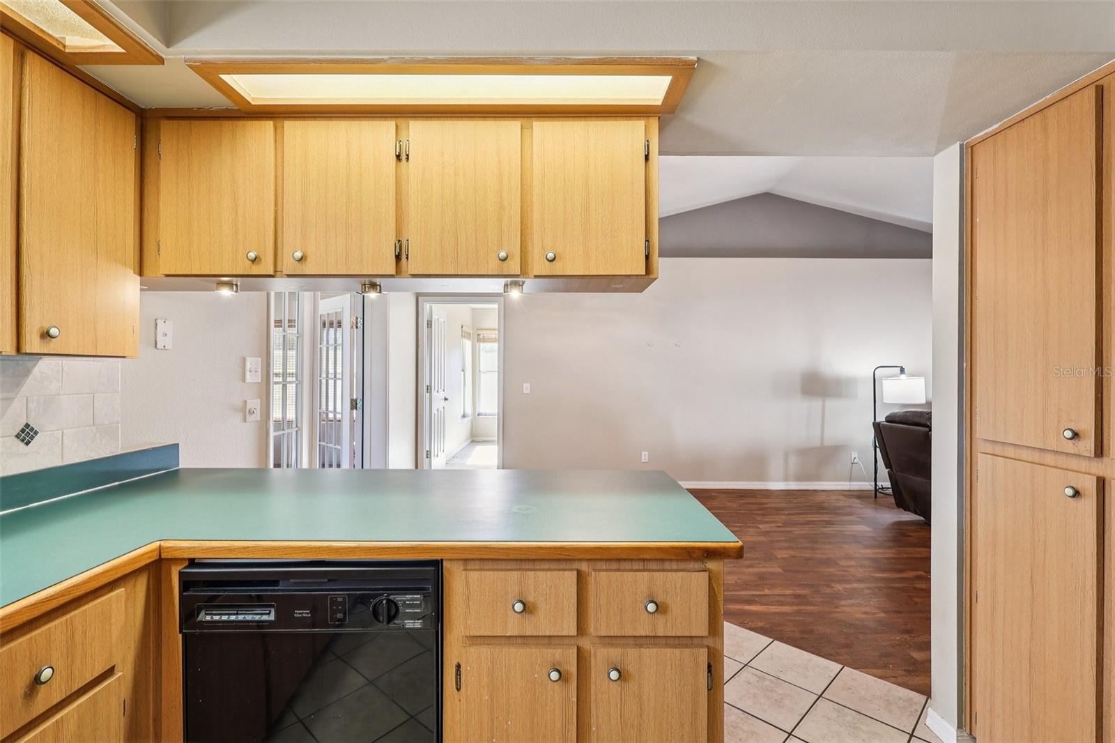 BRUSHS 03 - Residential