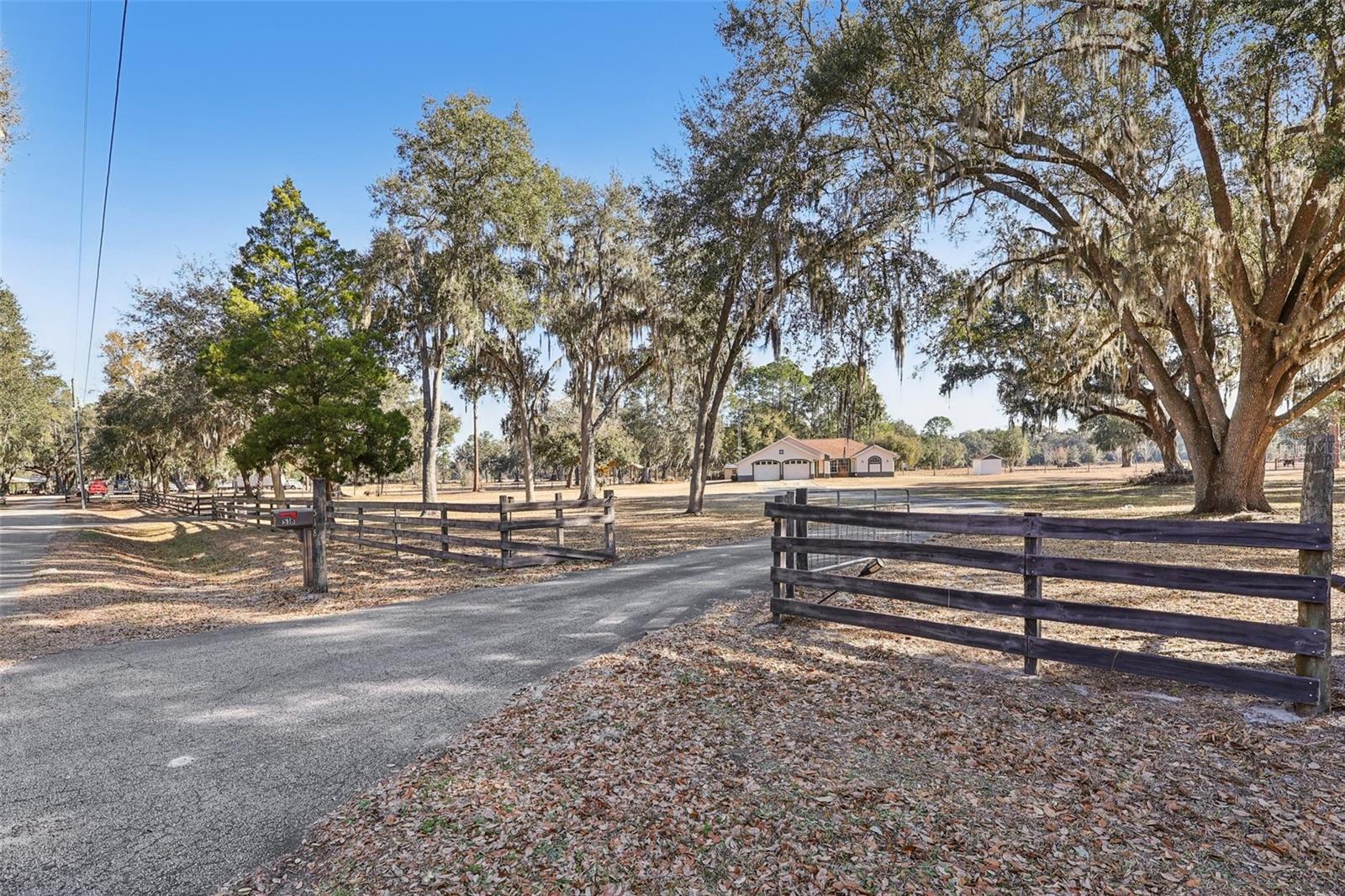 BRUSHS 03 - Residential