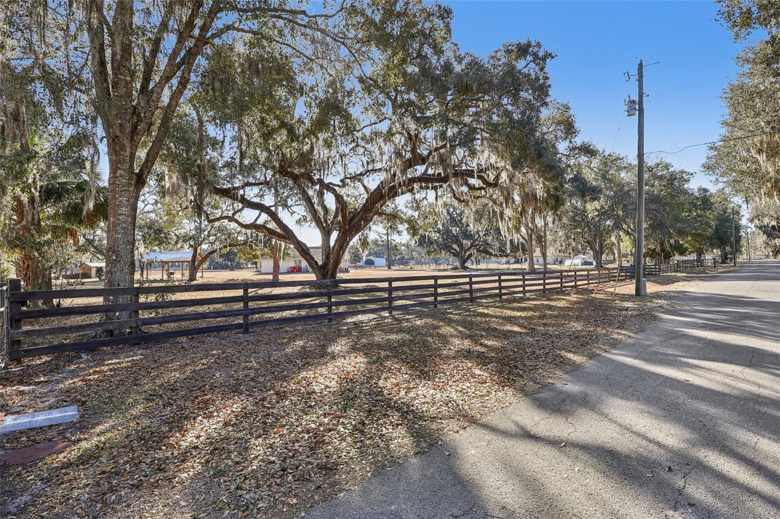 BRUSHS 03 - Residential