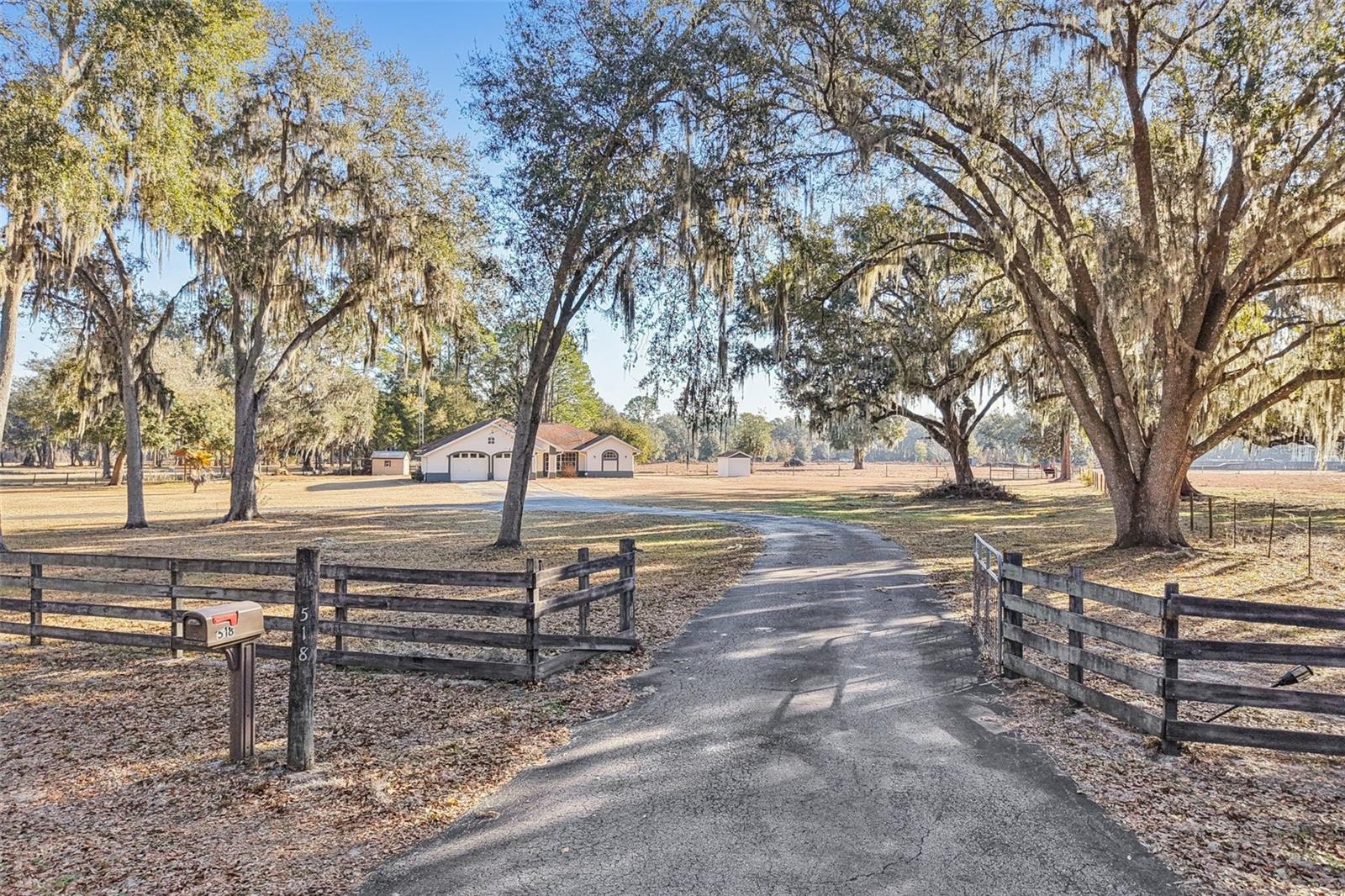 BRUSHS 03 - Residential